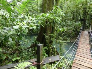 Costa Rica et sa biodiversité