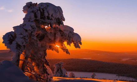 Pourquoi visiter la Laponie Finlandaise au cœur de l’hiver ?