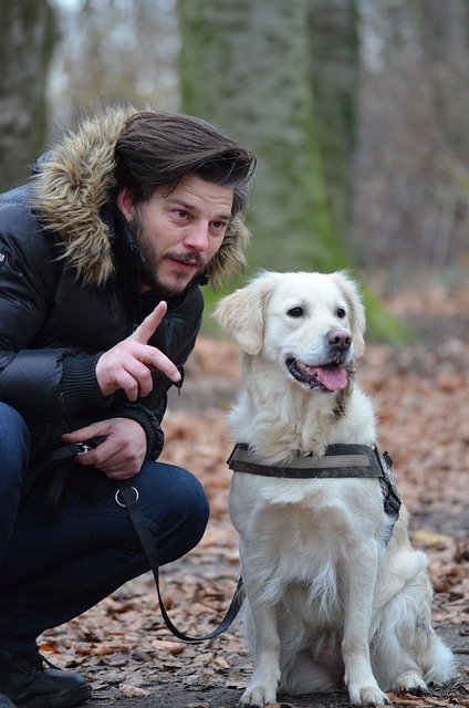 Promenade dans une forêt d'un dog sitter avec un chien blanc