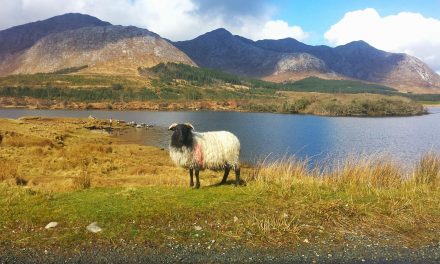 Visiter l’Irlande en 10 jours : l’itinéraire en 7 étapes pour un road trip inoubliable