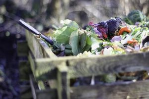 bac de compost pour valoriser ses déchets alimentaires