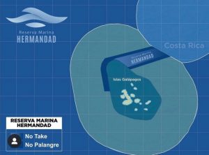 Extension de la réserve marine des Galápagos - Hermandad
