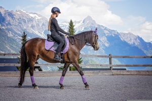 Comment bien monter à cheval pour réussir sa séance d'essai ?