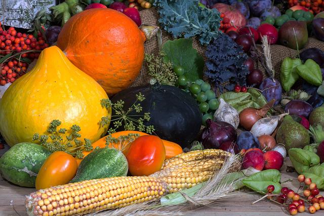 Fruits et legumes varies fournissent une richesse de fibres aux bacteries intestinales