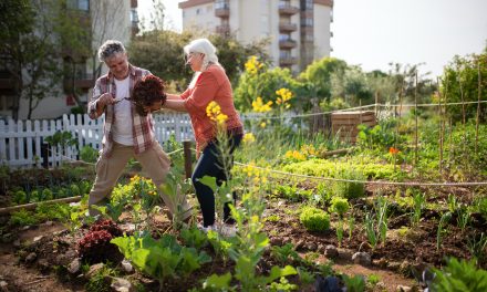 Pourquoi mener à bien un projet de jardin collectif dans votre ville ?