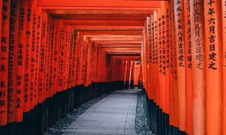 Découvrir le Japon : 9 expériences uniques pour bien réussir son voyage