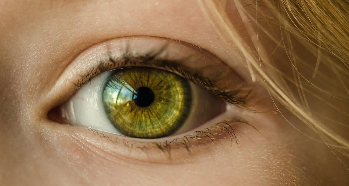 Soulager la fatigue visuelle : 5 conseils pour en venir à bout