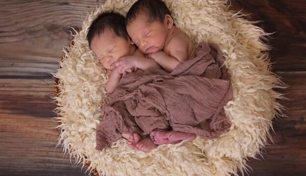 Vérités et fausses croyances sur les jumeaux monozygotes et dizygotes