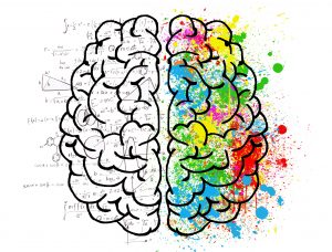 Illustration d'un cerveau vue du dessus dont des équations grise s'échappent de l'hémisphère gauche et des taches multicolores colorent l'hémisphère droit.