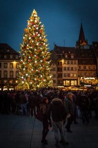 Le grand sapin de Noël à Strasbourg est l'un des plus hauts sapins naturels d'Europe. Il est attendu avec impatience chaque année au mois de novembre. 