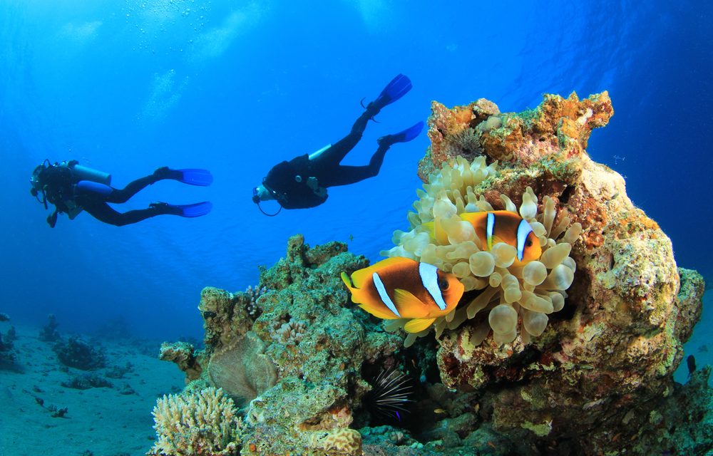 Plonger pour se soigner grâce à une thérapie subaquatique en Guadeloupe