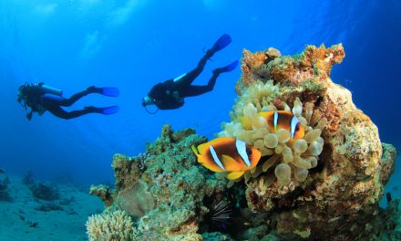 Plonger pour se soigner grâce à une thérapie subaquatique en Guadeloupe