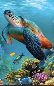 Tortue marine nageant dans une eau bleue turquoise. Elle est entourée de poissons aux couleurs vives et de coraux.