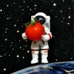 Les space tomates cerises : la NASA se met au jardinage dans le cosmos