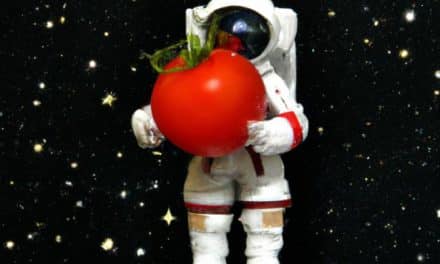 Les space tomates cerises : la NASA se met au jardinage dans le cosmos
