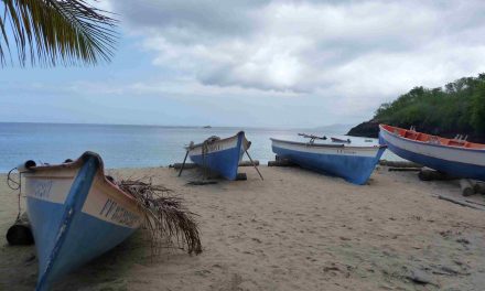 Découvrez la Martinique avec vos enfants et prenez-en plein les yeux