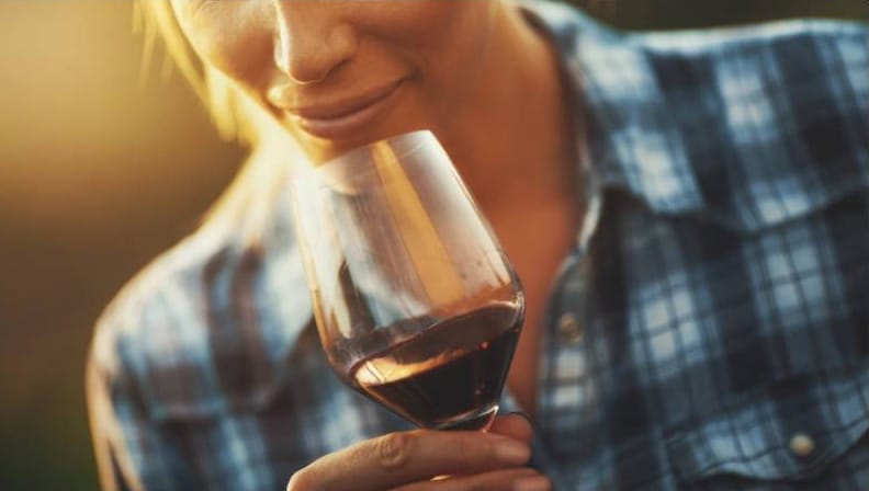apprendre à déguster le vin