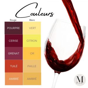 Apprendre à déguster le vin : les différentes couleurs que l'on peut observer d'un vin