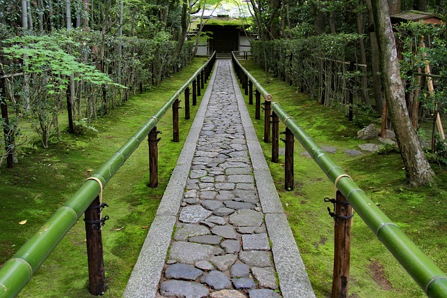 Une allée pavée rectiligne appelée nobedan traverse un jardin japonais d'un bout à l'autre. Les pierres sont plates et serrées les unes contre les autres.