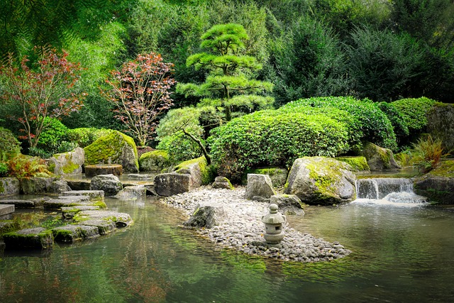 Découvrez les 5 grands principes de l’art du jardin japonais