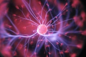 Prendre une décision rationnelle-Image des circuits électriques de neurones