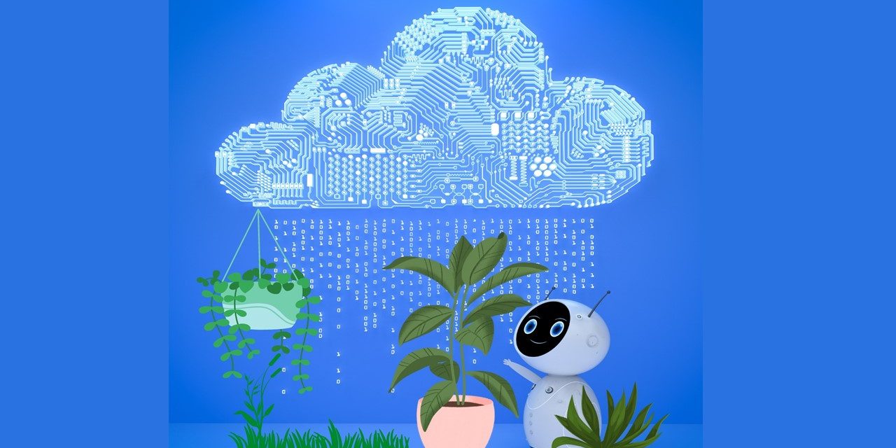 Un cloud végétal pour nos fichiers informatiques
