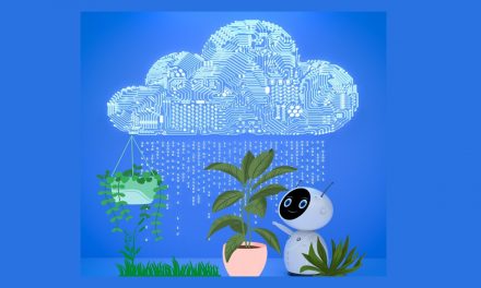 Un cloud végétal pour nos fichiers informatiques