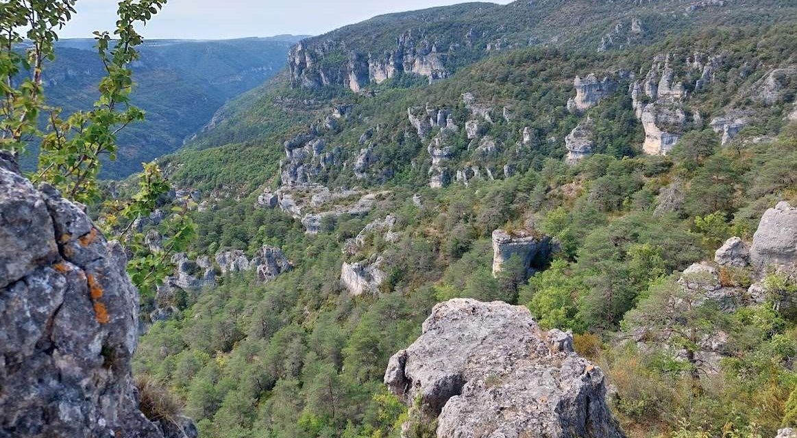 À la découverte de l’Aveyron : ces endroits où vous voudrez vous rendre pour un séjour inoubliable !