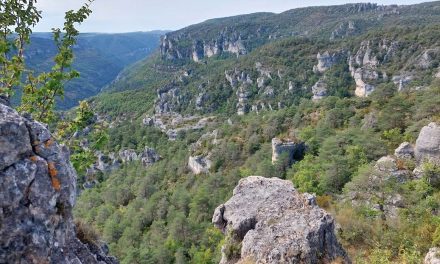 À la découverte de l’Aveyron : ces endroits où vous voudrez vous rendre pour un séjour inoubliable !
