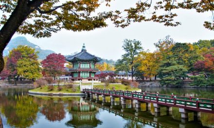 9 activités inoubliables à faire lors de votre voyage en Corée du Sud