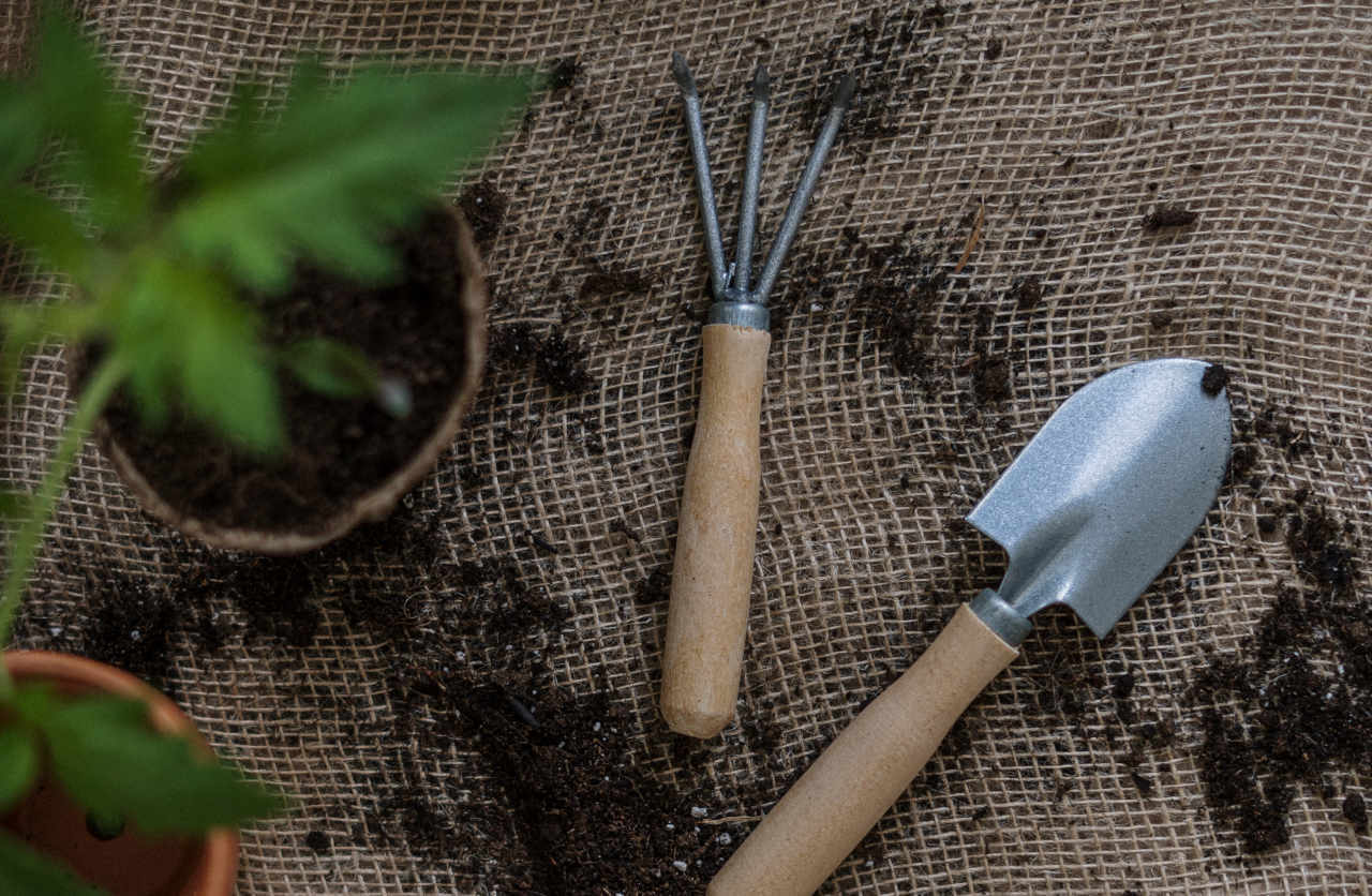 Les outils nécessaires pour jardiner avec des enfants : un transplantoir et une griffe à sarcler.