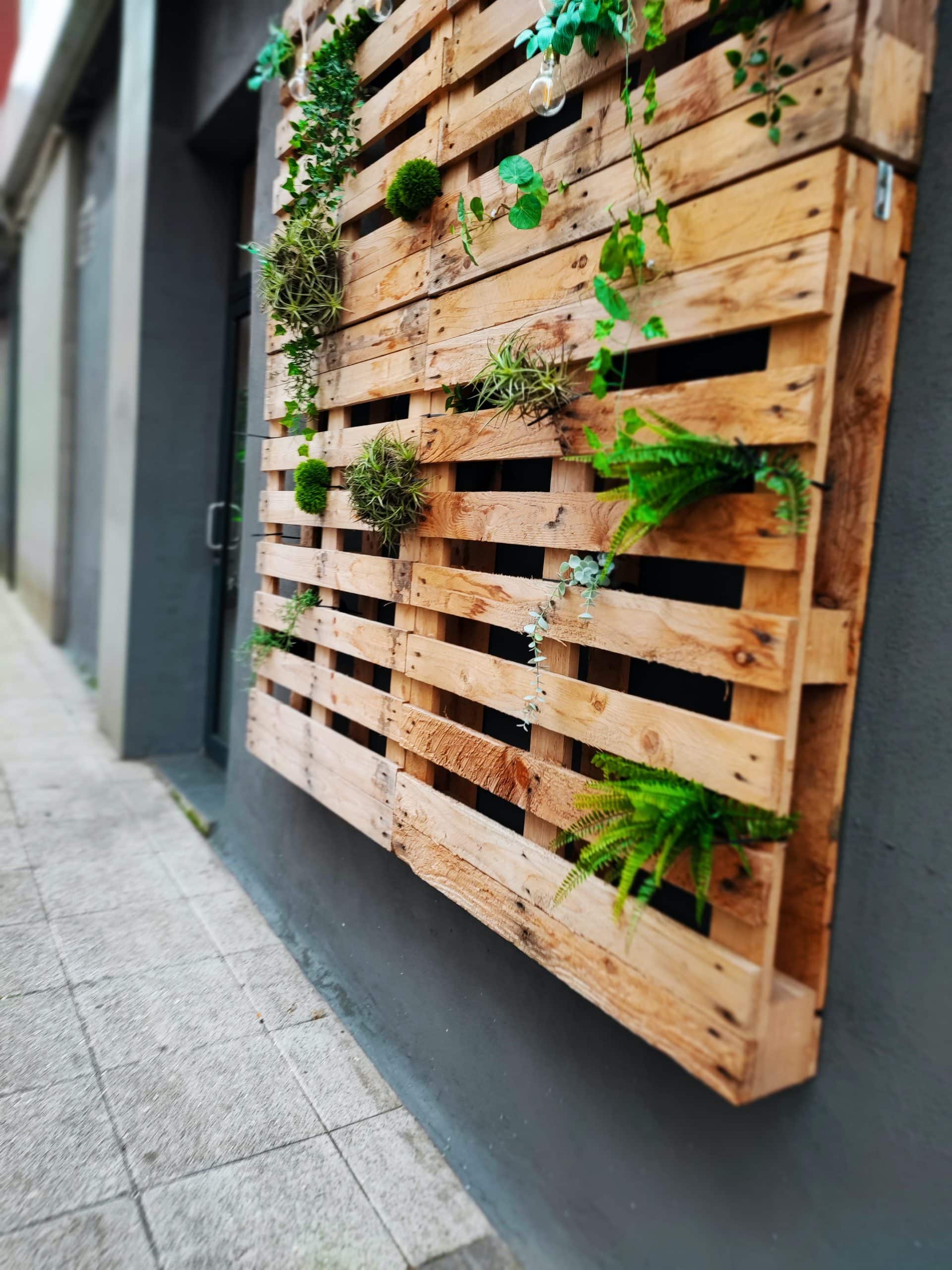 Decoration low-tech - recyclage de palettes - creation mur vegetal