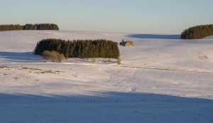 Visiter l'Aubrac en hiver : une ferme isolée dans un paysage enneigé au soleil couchant