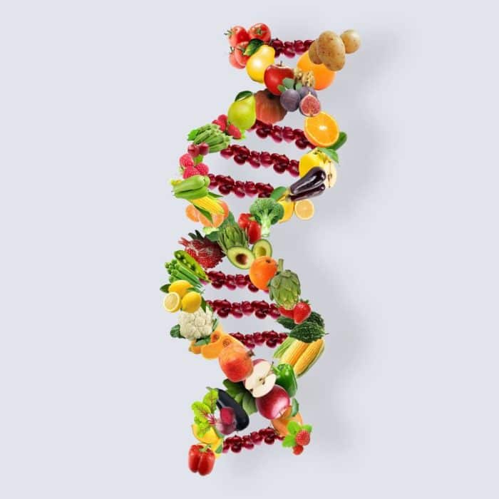 double hélice d'ADN constituée d'aliments
