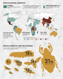 Infographie présentant les taux des différentes espèces d'insectes consommées par les populations entomophages dans le monde entier.