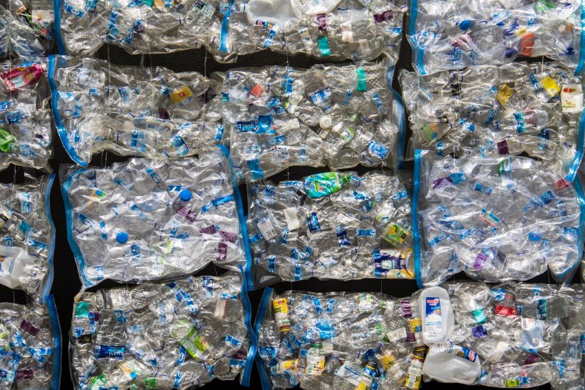 Biodégradation du plastique grâce à des champignons : un espoir pour le recyclage ?