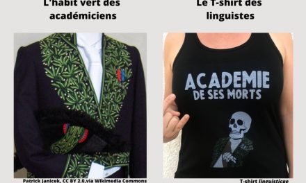 Quelques bonnes raisons d’être fâché·e contre les immortels de l’Académie française