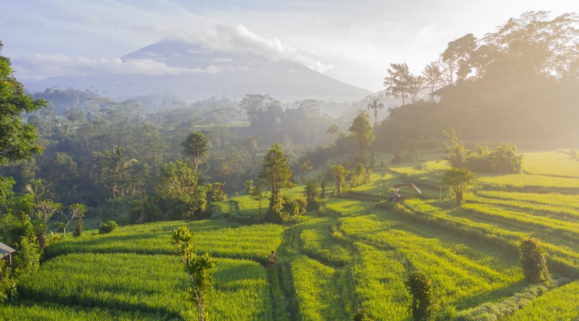 Expatriation temporaire à Bali : tout ce qu’il faut savoir avant de partir
