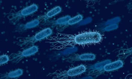 L’IA permet l’identification d’un antibiotique ultime contre A. baumannii, une bactérie mortelle