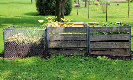 Découvrez les étapes indispensables pour bien lancer un compost dans votre jardin