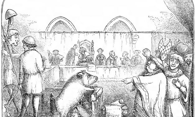 Les incroyables procès d’animaux au Moyen Âge