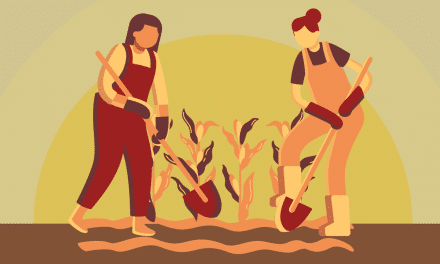 Débuter en permaculture : tout ce qu’il faut savoir pour cheminer vers l’autosuffisance alimentaire