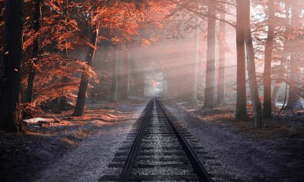 Le Great American Rail-Trail : un sentier qui traverse les États-Unis d’est en ouest