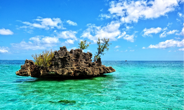 6 astuces précieuses pour un tourisme écoresponsable à l’Île Maurice