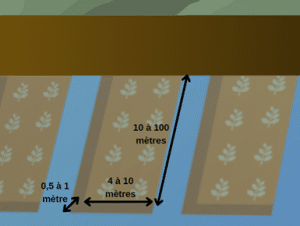 Dimensions des plateformes des Waru Waru : longueur 10 à 100 mètres, largeur 4 à 10 mètres, hauteur 0,5 à 1 mètre.