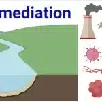 Dépollution naturelle des sols en 3 points clés