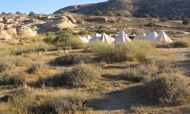 Organiser un séjour éco-touristique en Jordanie : mode d’emploi
