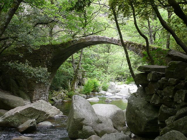 Le pont génois de Zaglia : ancien pont de pierre au-dessus d'une rivière dans la forêt