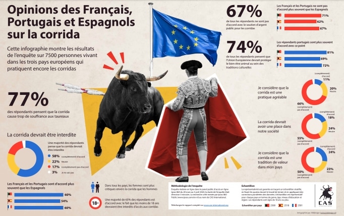 infographie popularite corrida Europe