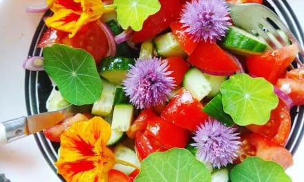 8 astuces pour profiter de la capucine de votre jardin dans votre cuisine